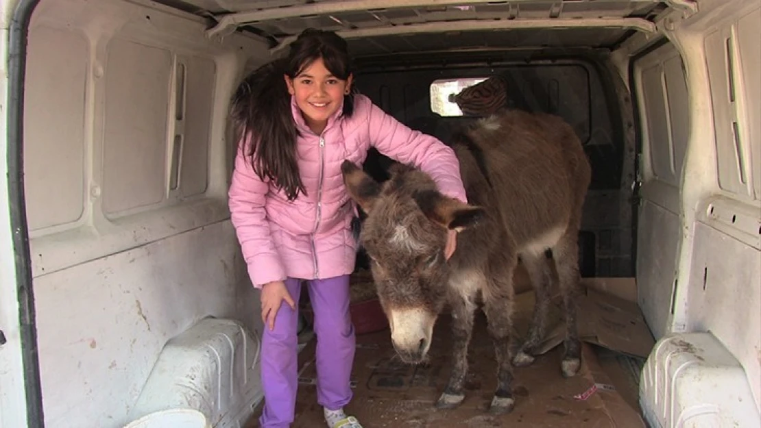 Kahramanmaraş'tan İzmir'e yolculuk başladı