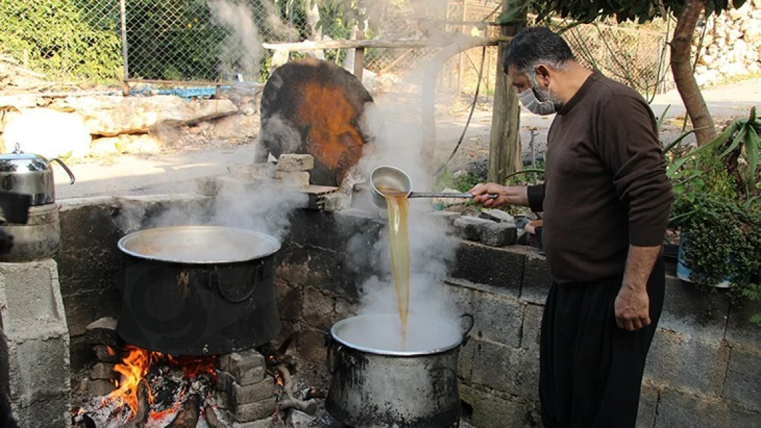 Keçiboynuzunun pekmeze yolculuğu başladı