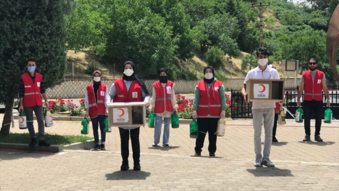 Kızılay gönüllüleri sokak hayvanlarını unutmuyor