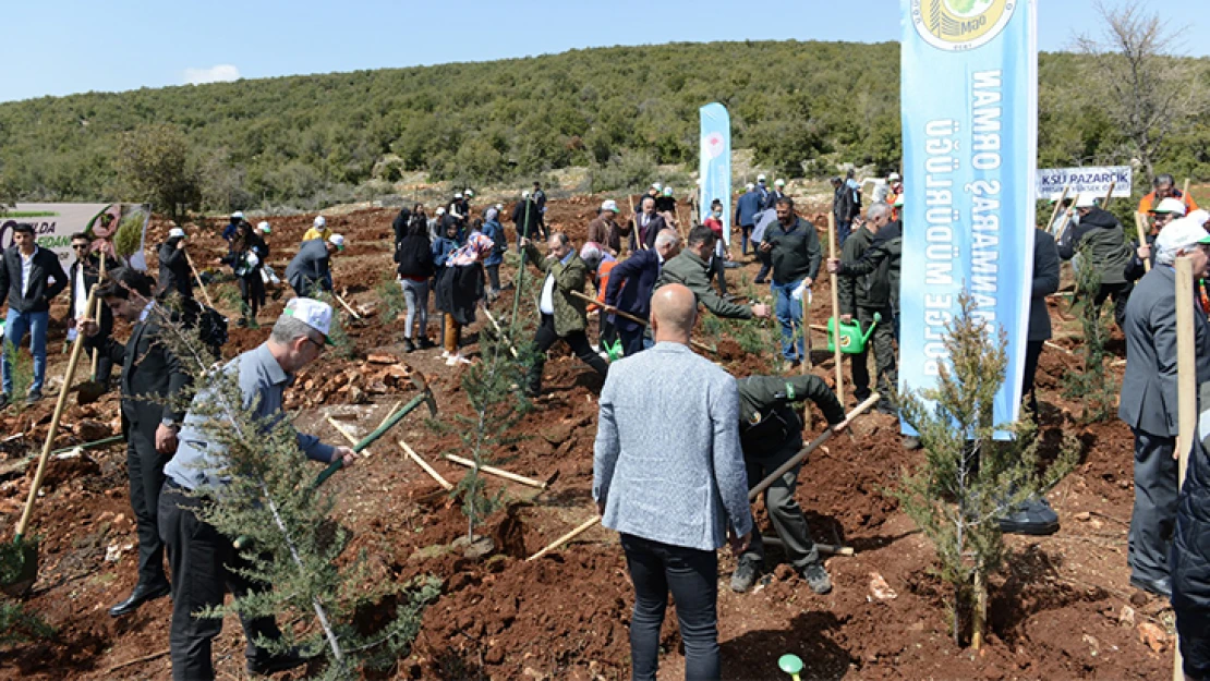 KSÜ, kuruluşunun 30. yılında 30 bin fidanı toprakla buluşturuyor