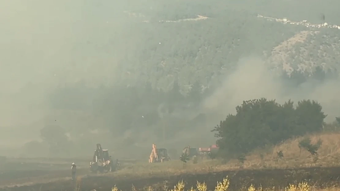 Manisa'da ormanlık alanda yangın çıktı