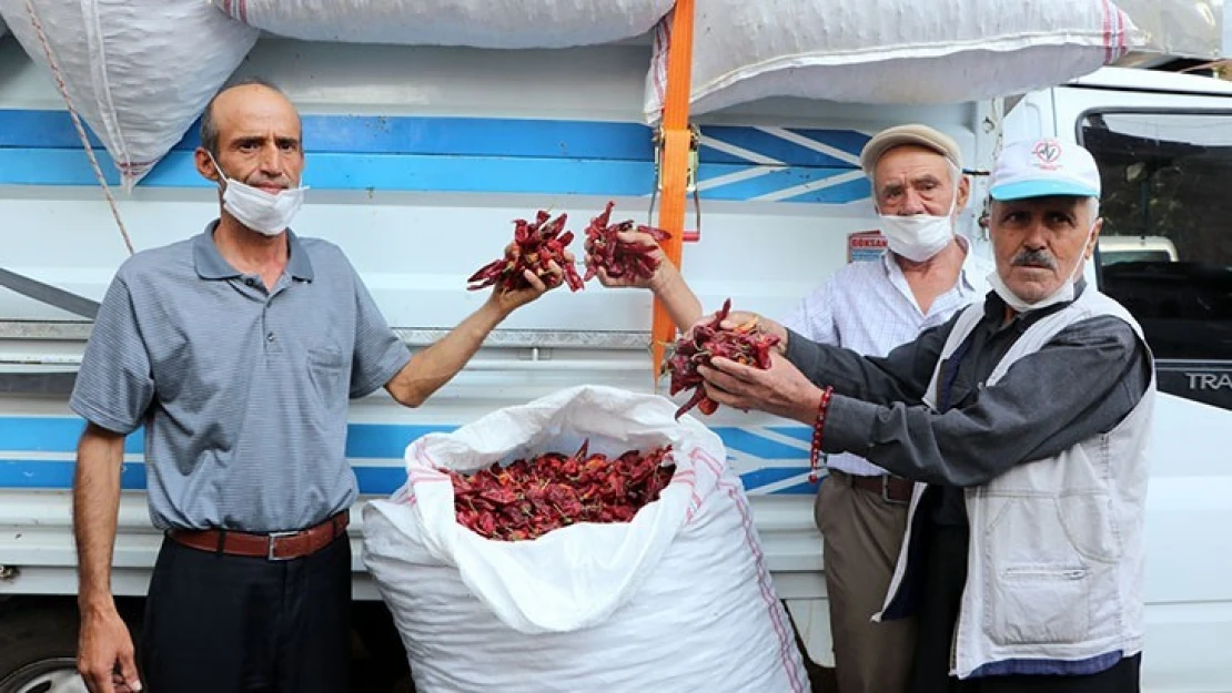 Maraş biberi mezatla satışa çıktı