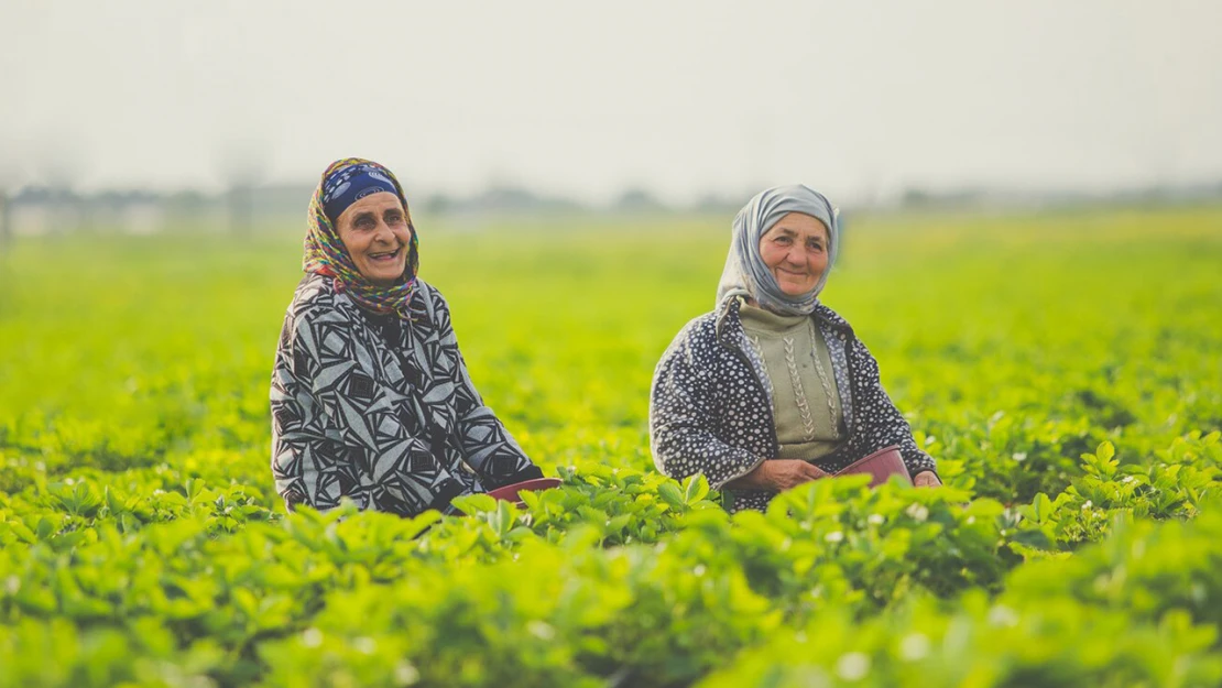 Mevsimlik tarım işçileri için genelge hazırlandı