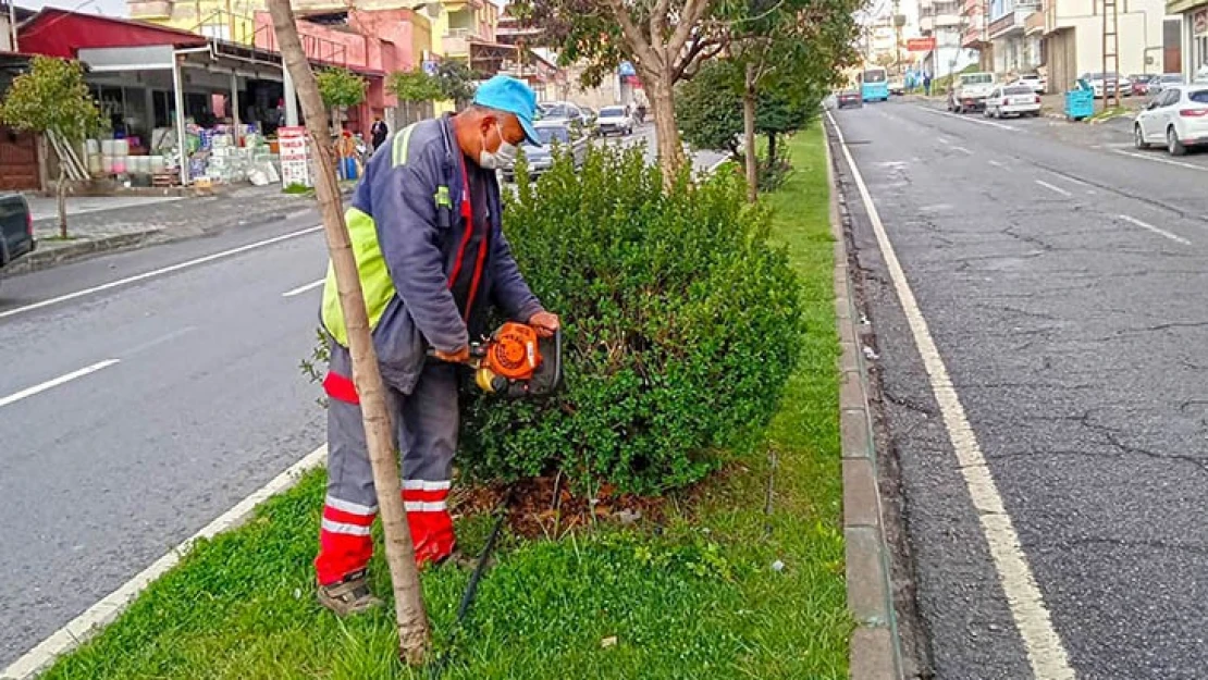 Minyatür ağaçlar Kahramanmaraş'ta arterleri süsleyecek