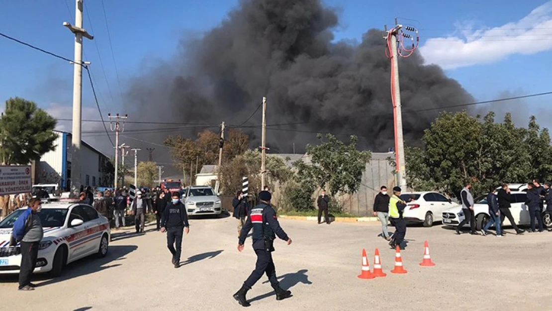 Muz sarartma tesisinde çıkan yangına müdahale ediliyor