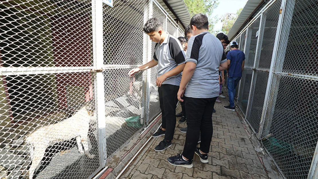 Öğrencilerin şefkat eli, can dostlara uzandı