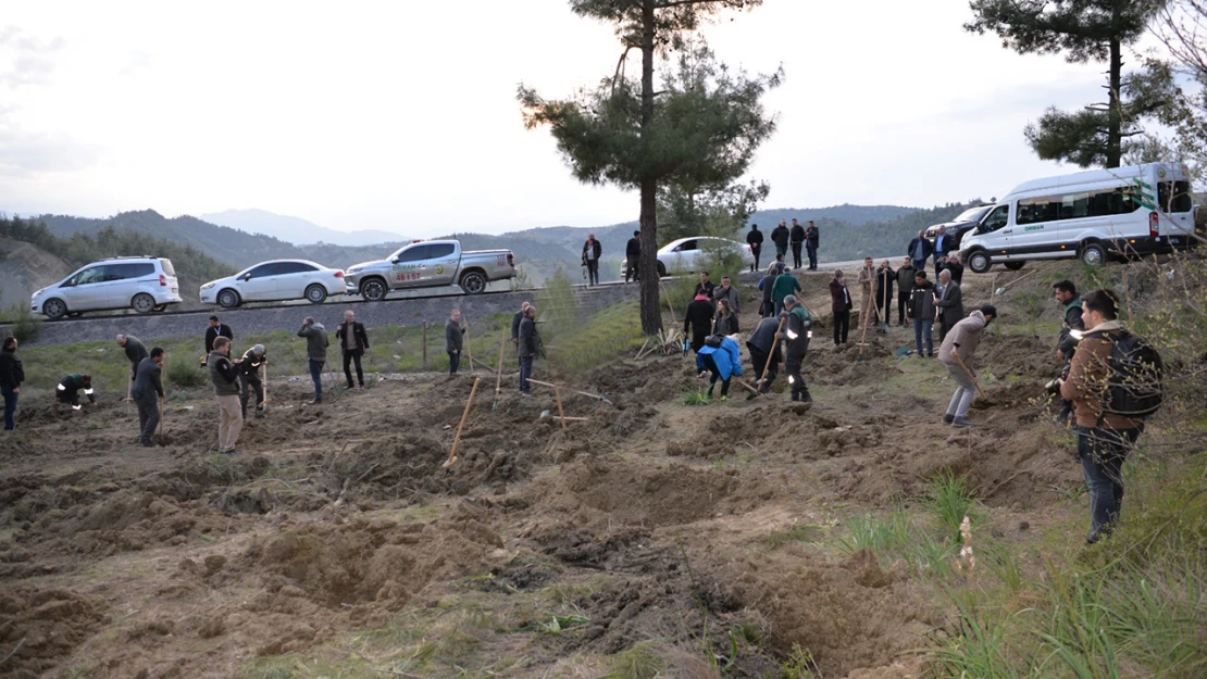 Orman Bölge Müdürü Karartı, Kahramanmaraş'ta yürütülen çalışmaları anlattı