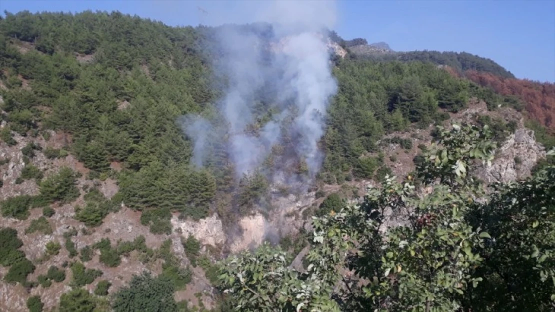 Ormanlık alanda çıkan yangın kontrol altına alındı