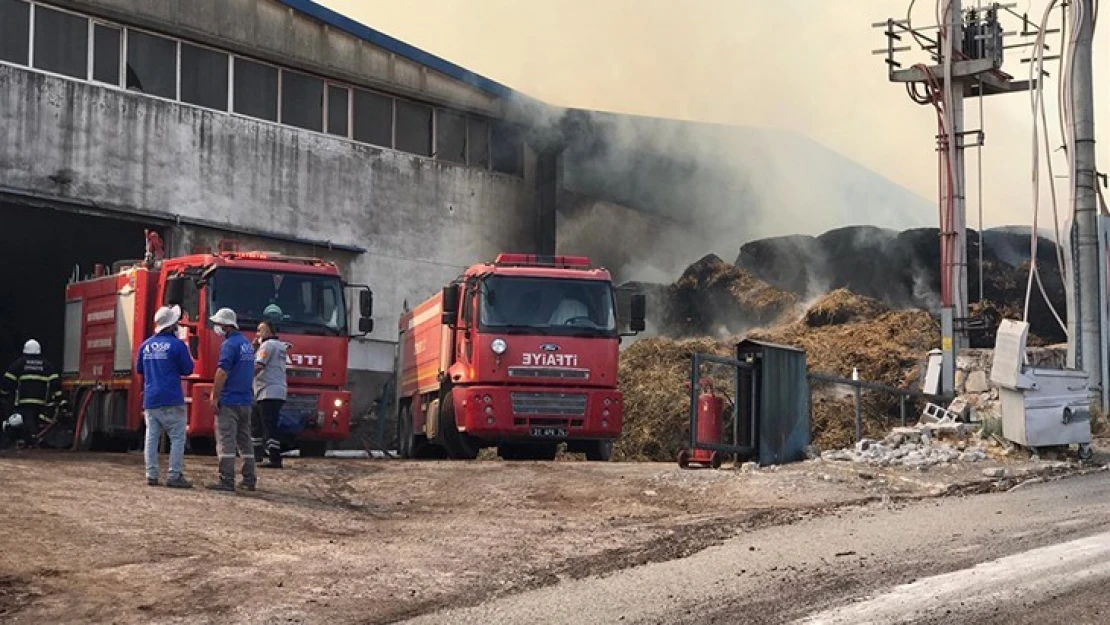 Palet fabrikasında çıkan yangına müdahale ediliyor