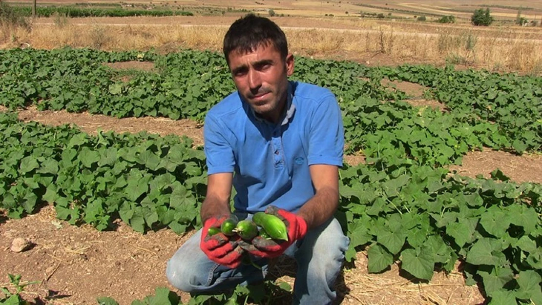 Pandemi sürecinde iş bulamayan kişiye hayırseverler sahip çıktı