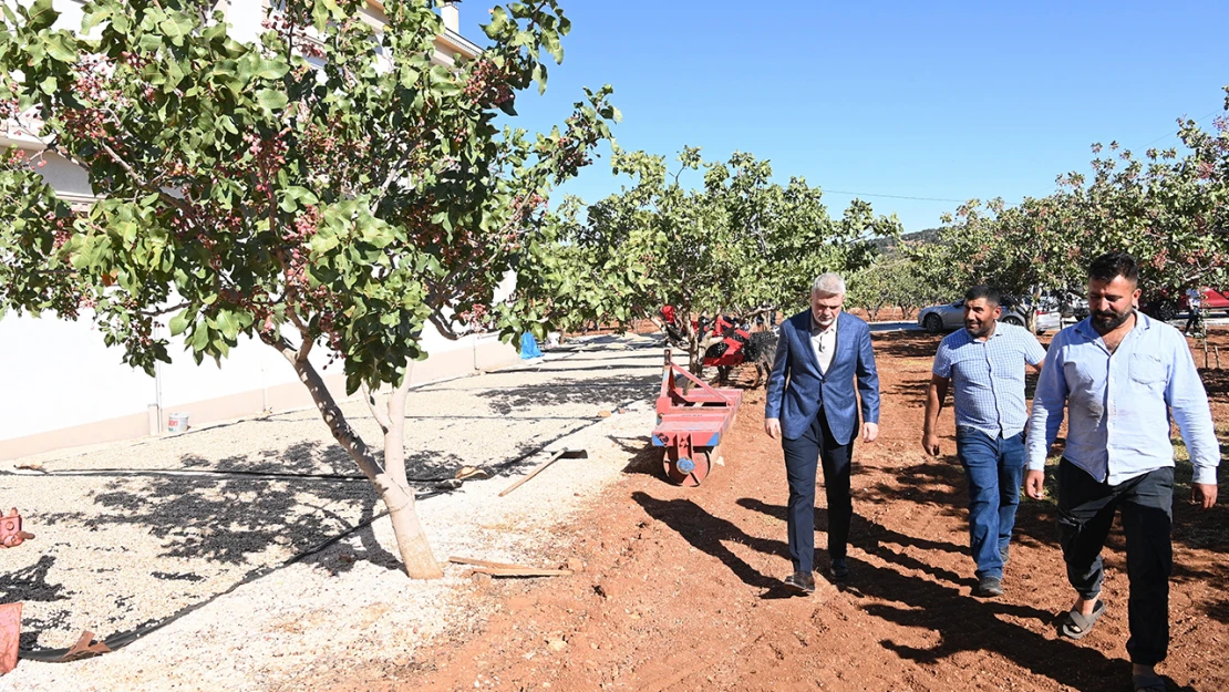 Pazarcık Fıstığı'nın tescili için çalışmalar başladı