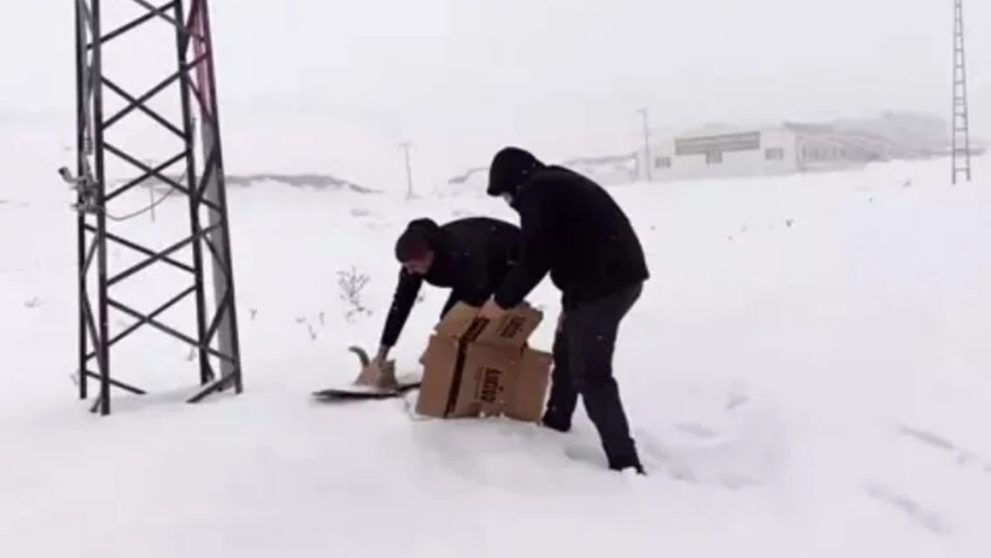 Polis ekipleri donmak üzere olan kediyi kurtardı