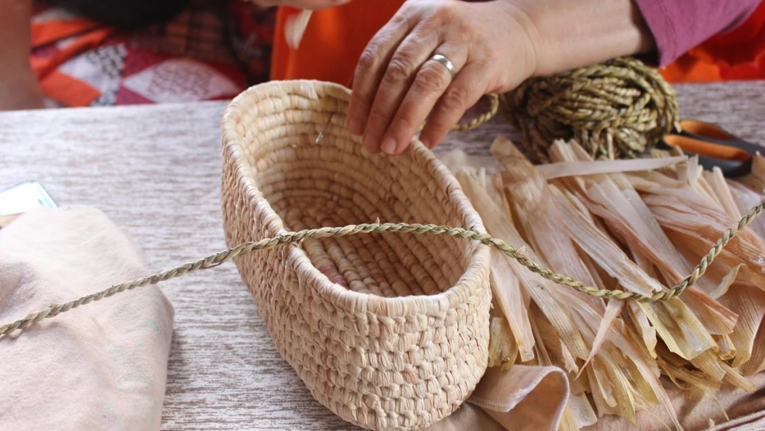 Sanatçı tanıtma kartı başvuruları başladı