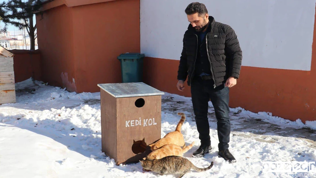 Soğuk kış günlerinde can dostlar unutulmadı