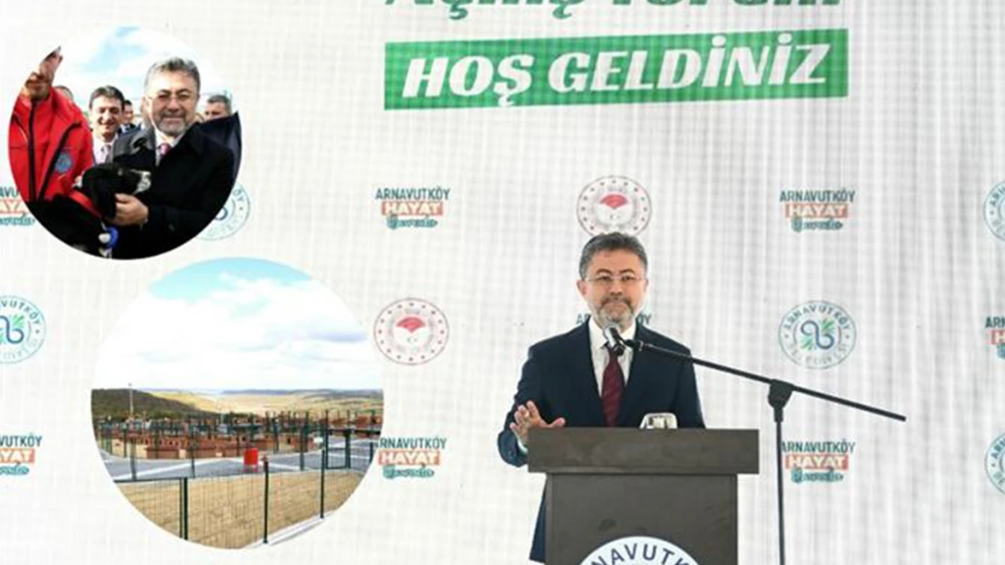 Sokak hayvanları beslenme ve sahiplendirme merkezi açıldı