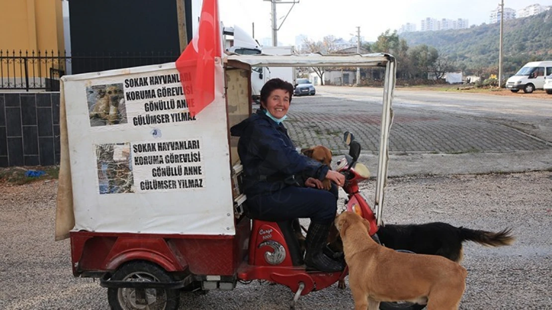 Sokak hayvanlarının 'Gülümser annesi'