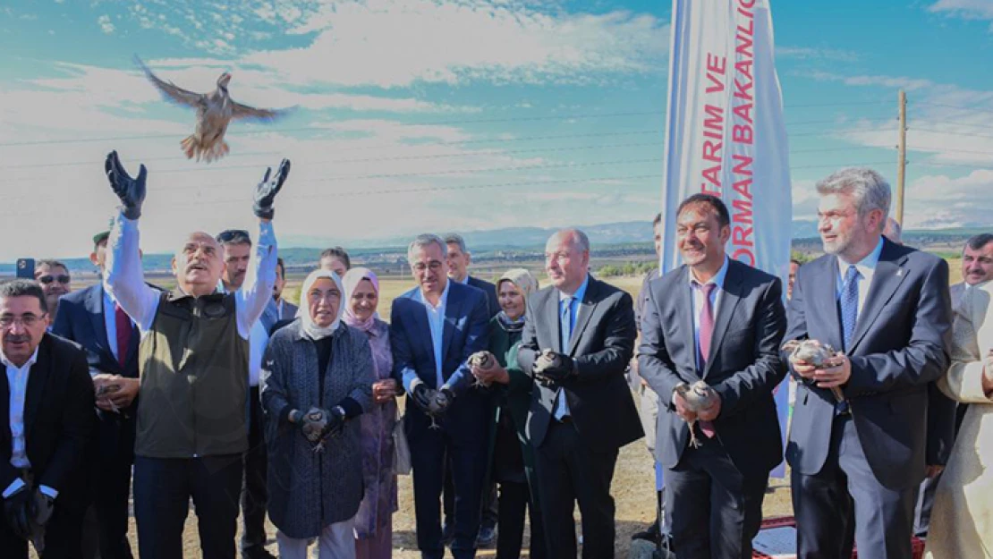 Tarım ve Orman Bakanı Kirişci, Maraş Biberi hasadına katıldı