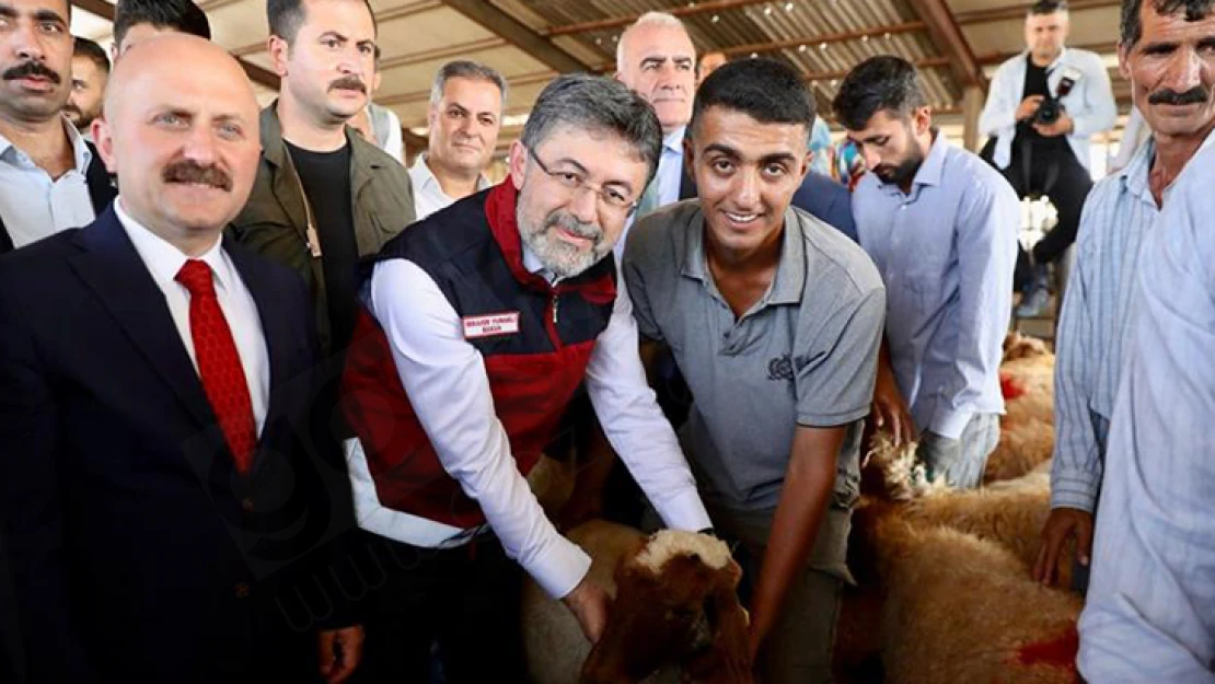 Tarım ve Orman Bakanlığı'ndan deprem bölgesine hayvan desteği