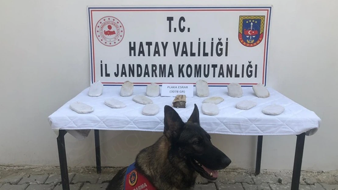 Tarlaya uyuşturucu gömen zanlı yakalandı