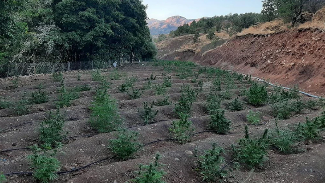 Terör örgütlerinin finans kaynağına ağır darbe