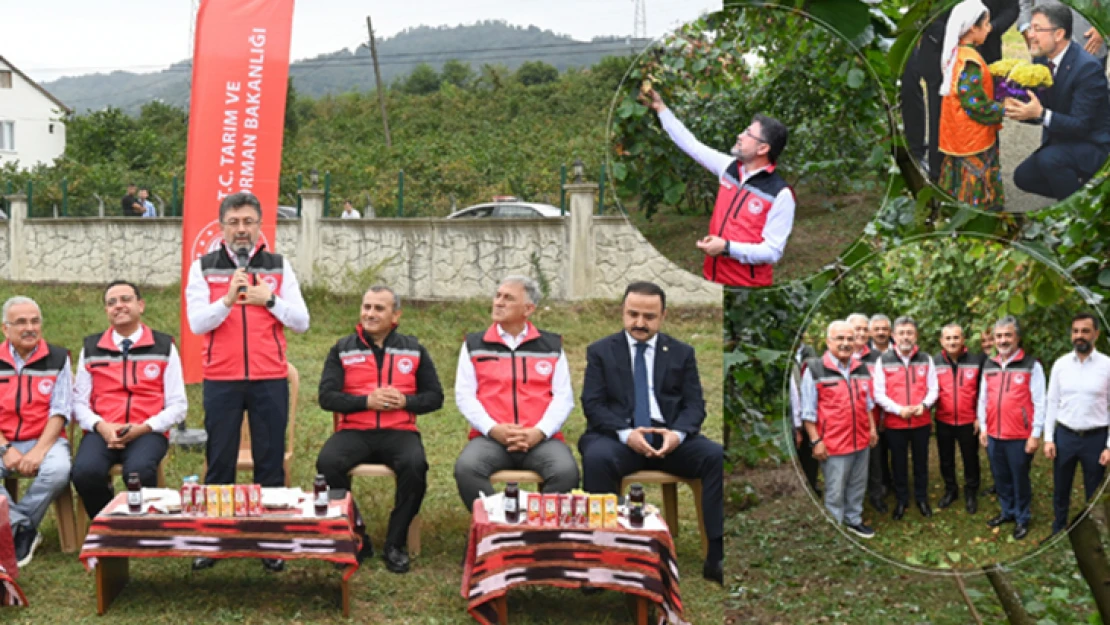 TMO fındık alımlarına 28 Ağustos'ta başlayacak