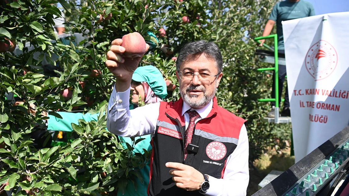 Türkiye, elma üretiminde dünyada kaçıncı sırada?