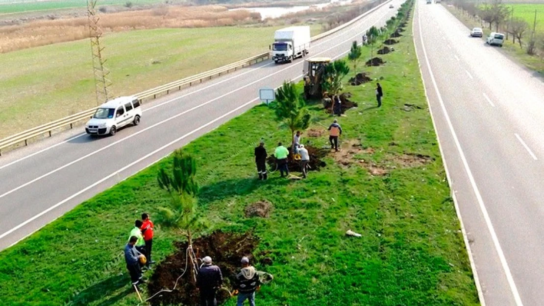 Türkoğlu Belediyesi, 5 bin fidanı toprakla buluşturuyor