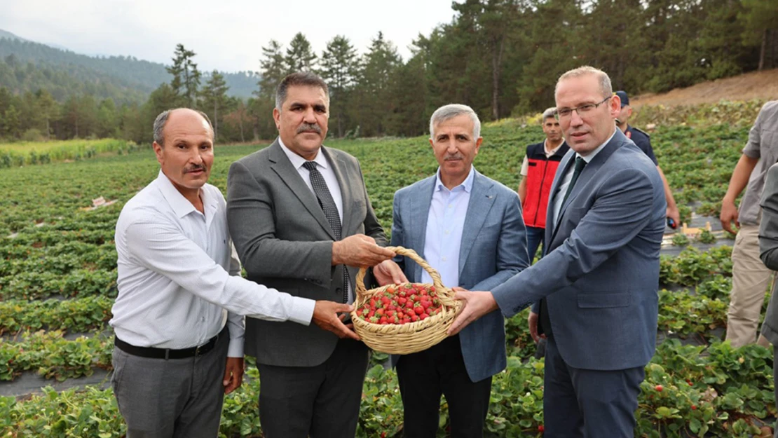 Türkoğlu ilçesindeki çilek üreticileri, yeni soğuk hava deposu ile güçleniyor