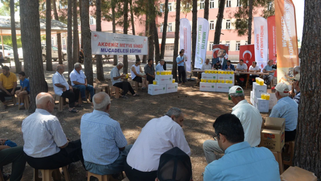 Turunçgil alanlarında toplu biyoteknik mücadele başladı