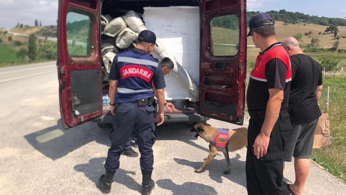 Ülke genelinde 'Aranan şahıslar uygulaması' gerçekleştirildi