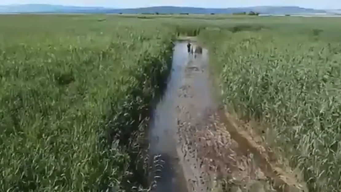 Uluabat Gölü'nde mahsur kalan kişi kurtarıldı