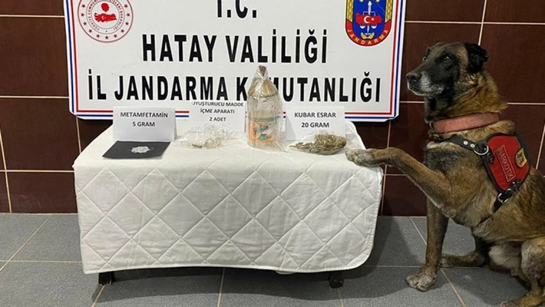 Uyuşturucu operasyonu: 1 gözaltı