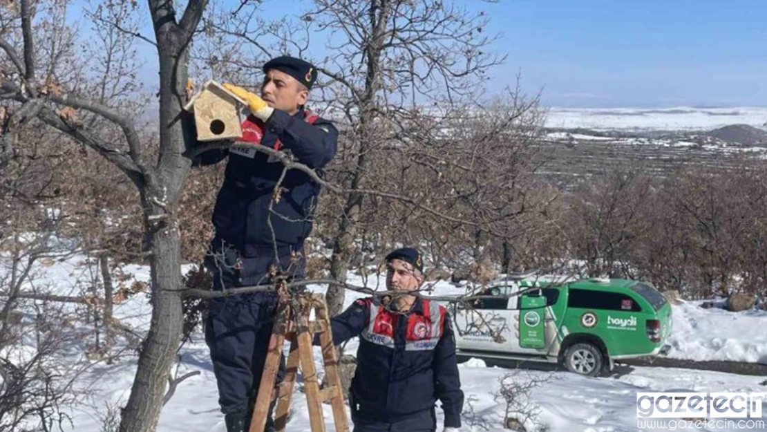 Yaban kuşlarına önce yuva sonra yem