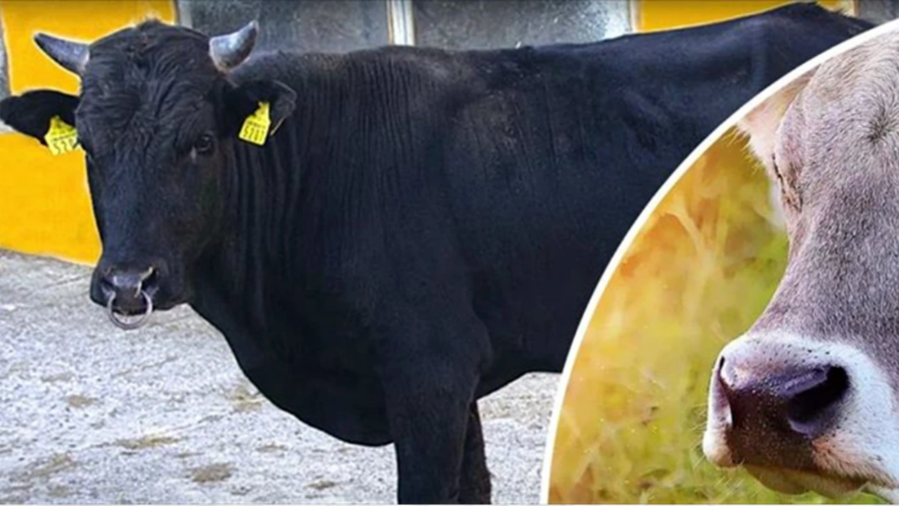 Halk Elinde Islah Projelerine toplam 2,7 milyar lira destek sağlandı