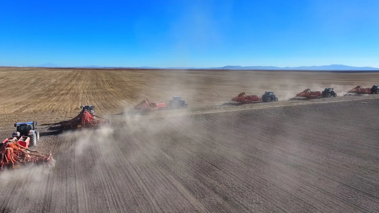 Kuraklığa dayanıklı tohumlarla üretim zamanı