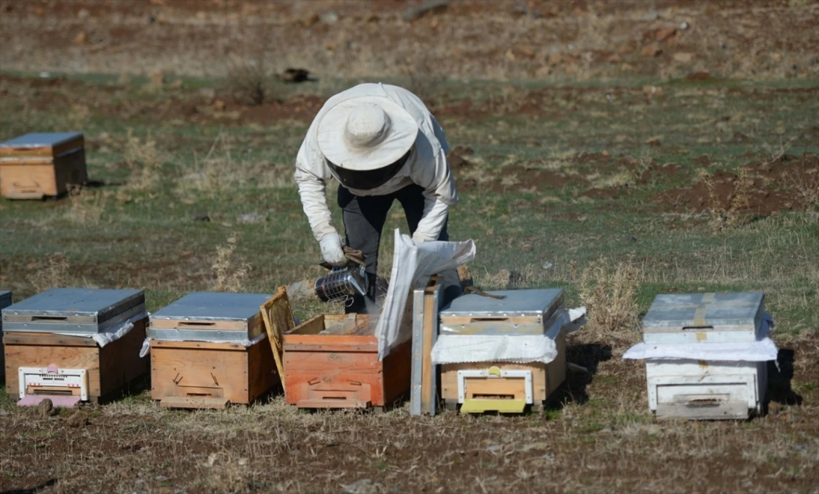 Kahramanmaraşlı bal üreticileri