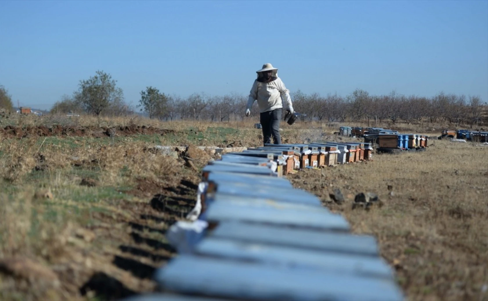 Kahramanmaraşlı bal üreticileri