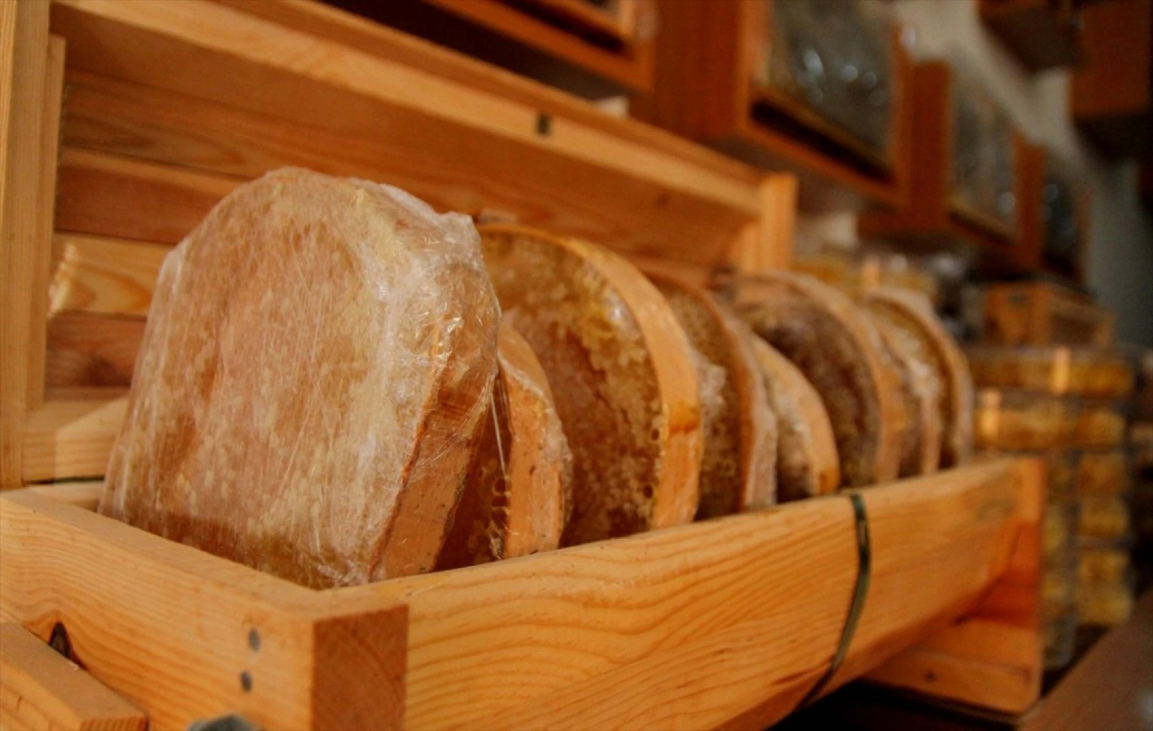 Kahramanmaraşlı bal üreticileri