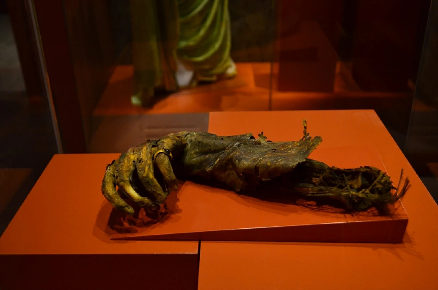 Müzeye dönüştürülen eski adliye binası tarihe ışık tutuyor