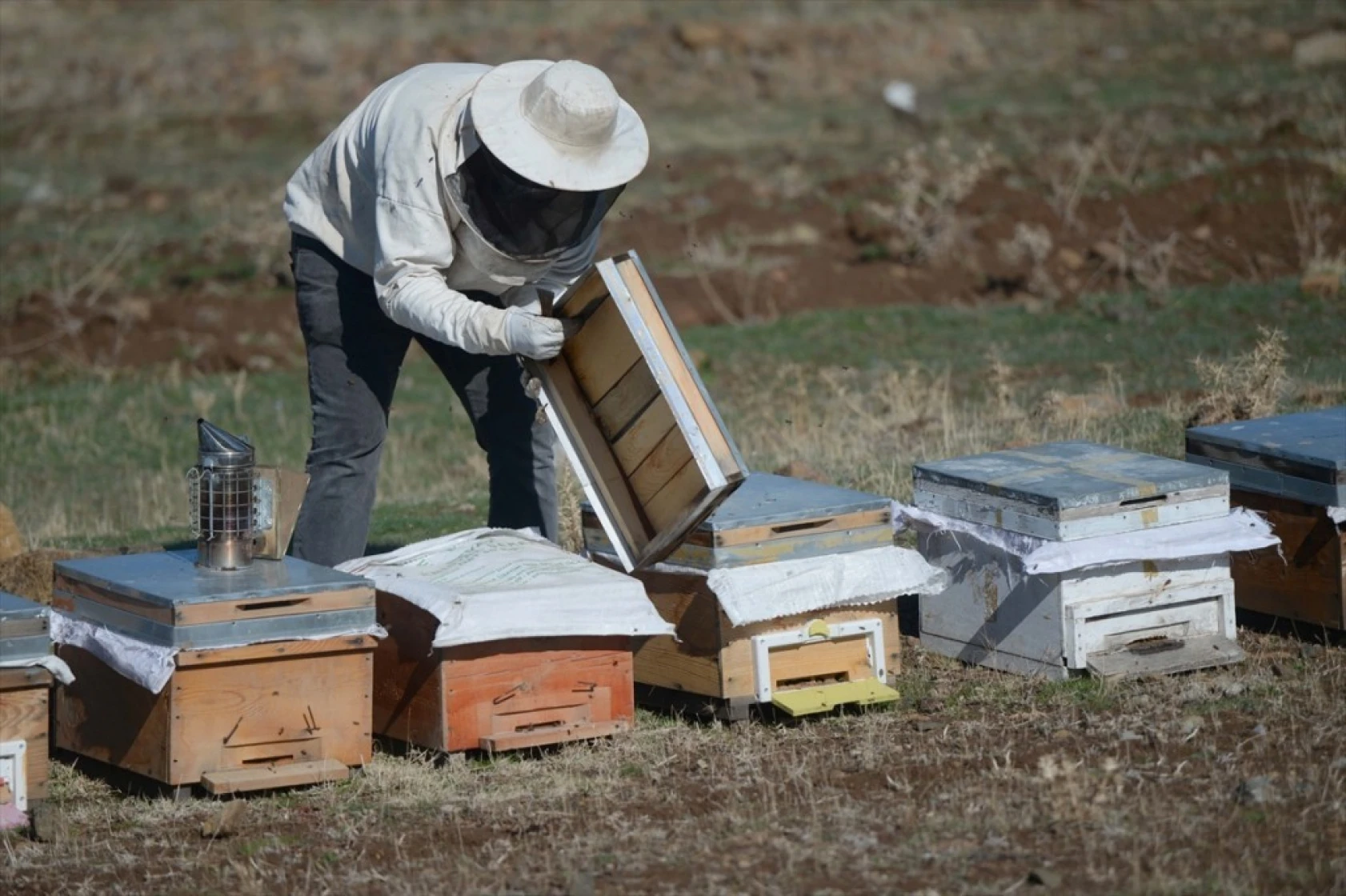 Kahramanmaraşlı bal üreticileri