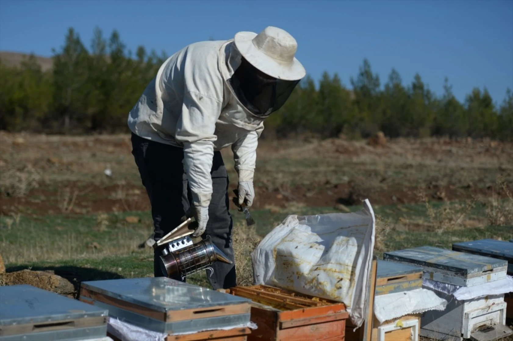 Kahramanmaraşlı bal üreticileri