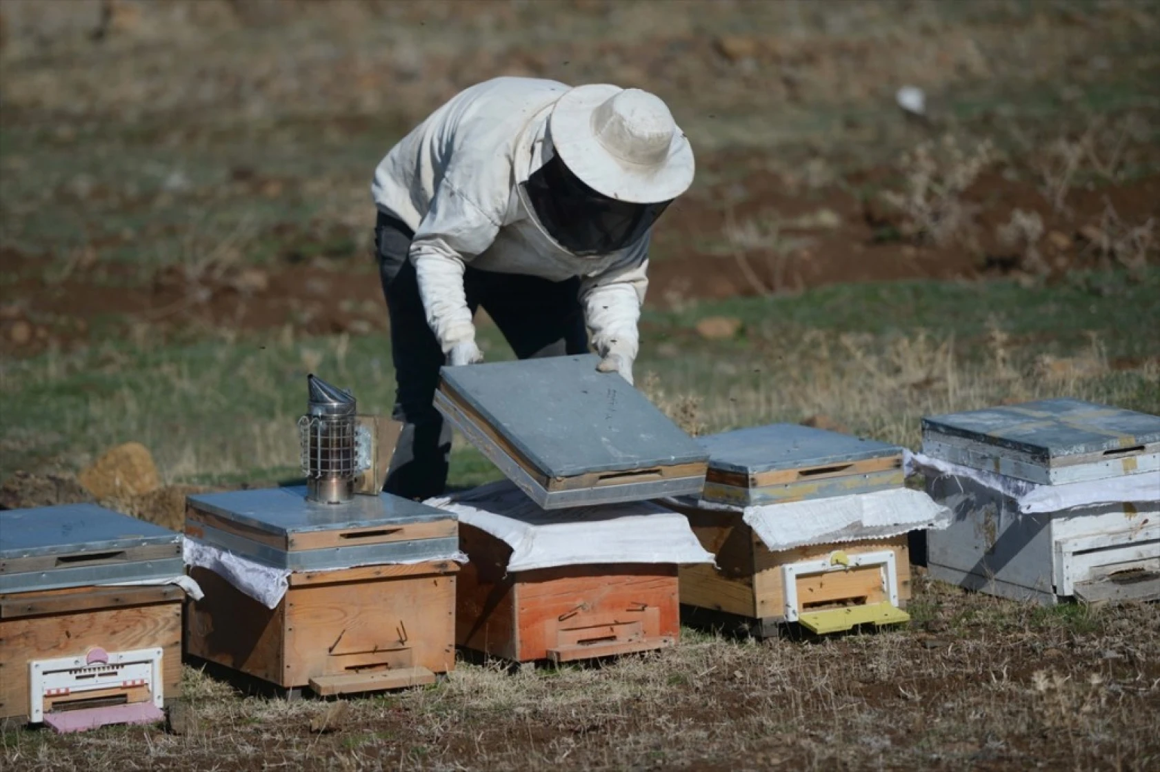 Kahramanmaraşlı bal üreticileri