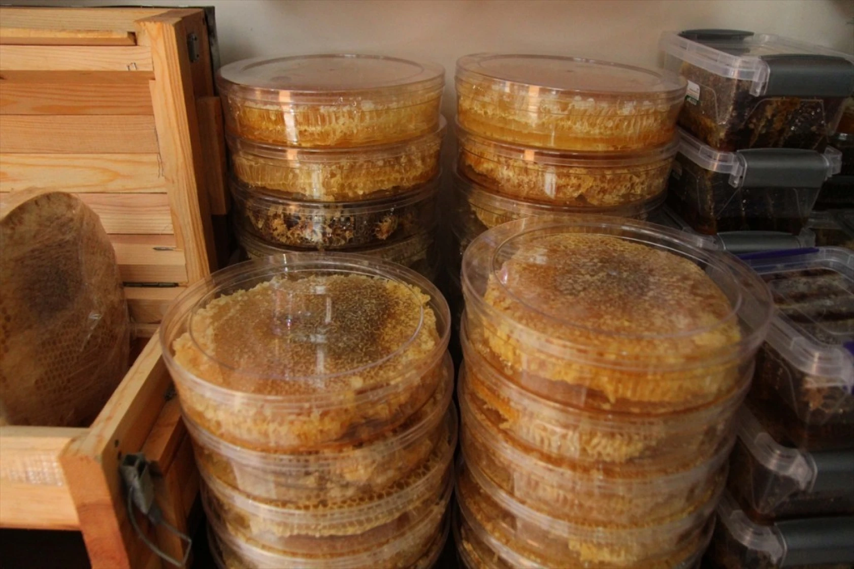 Kahramanmaraşlı bal üreticileri