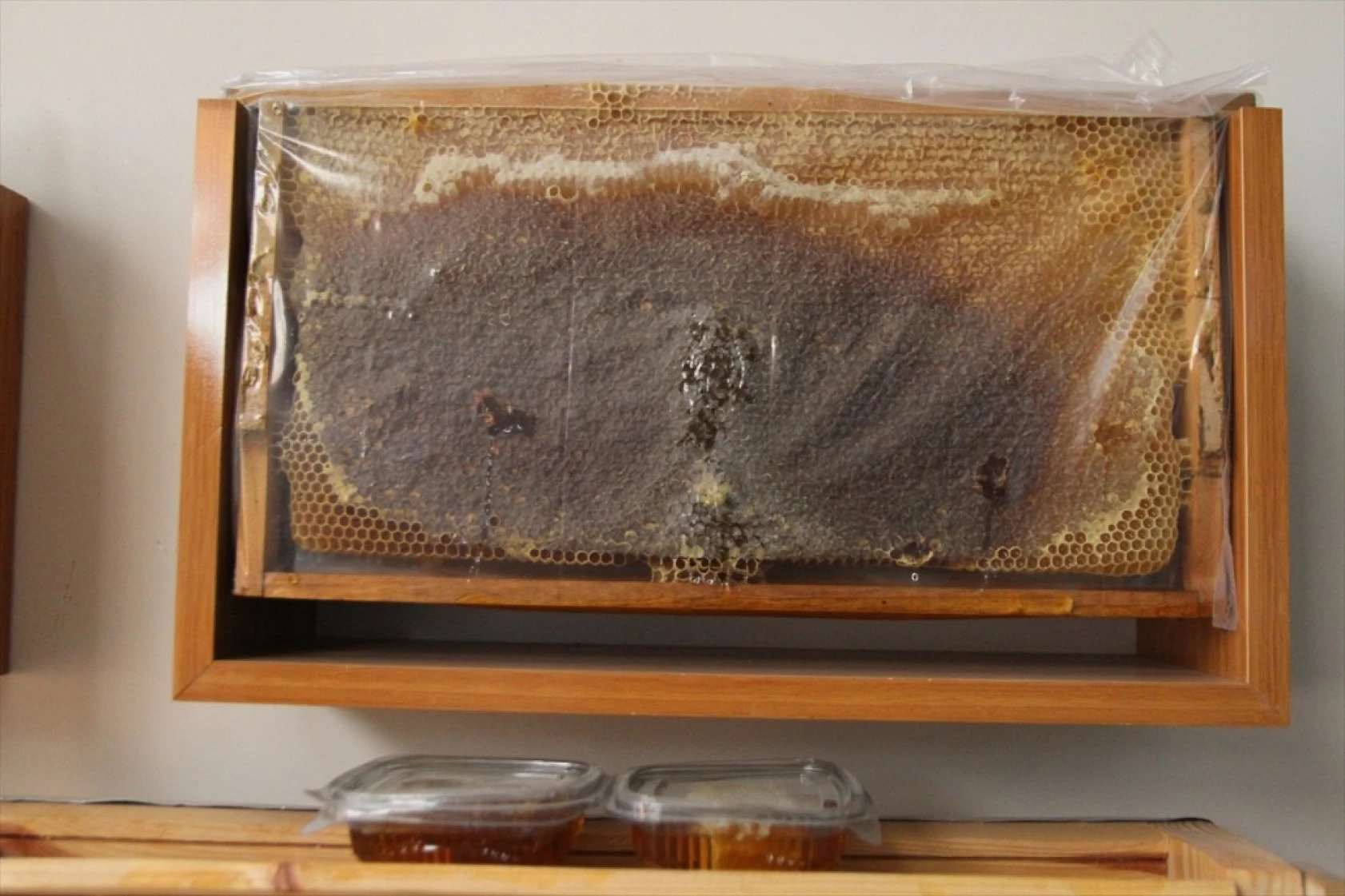 Kahramanmaraşlı bal üreticileri