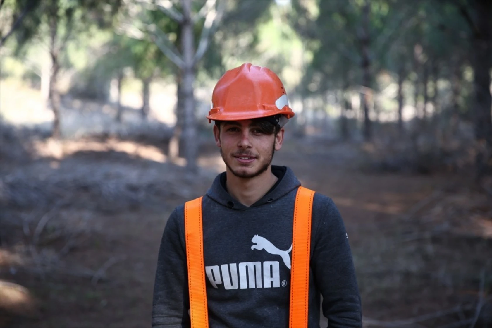 Çam fıstığının zorlu yolculuğu