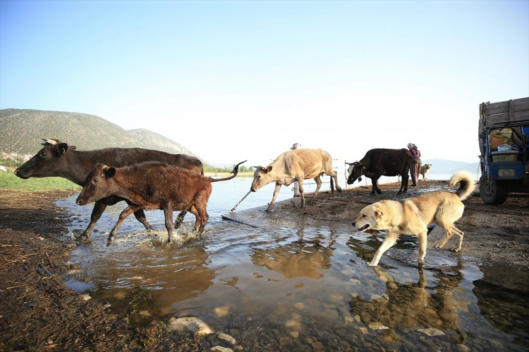 Yörüklerin Mada Adasını geçiş anı