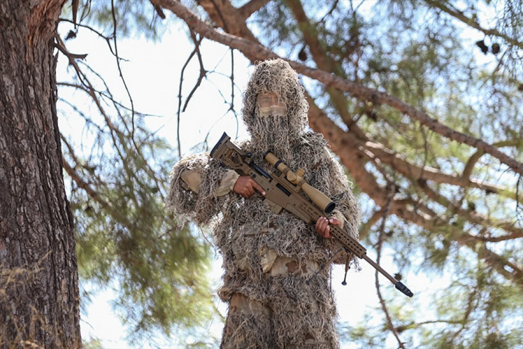 Devletin 'çelik bileği' PÖH
