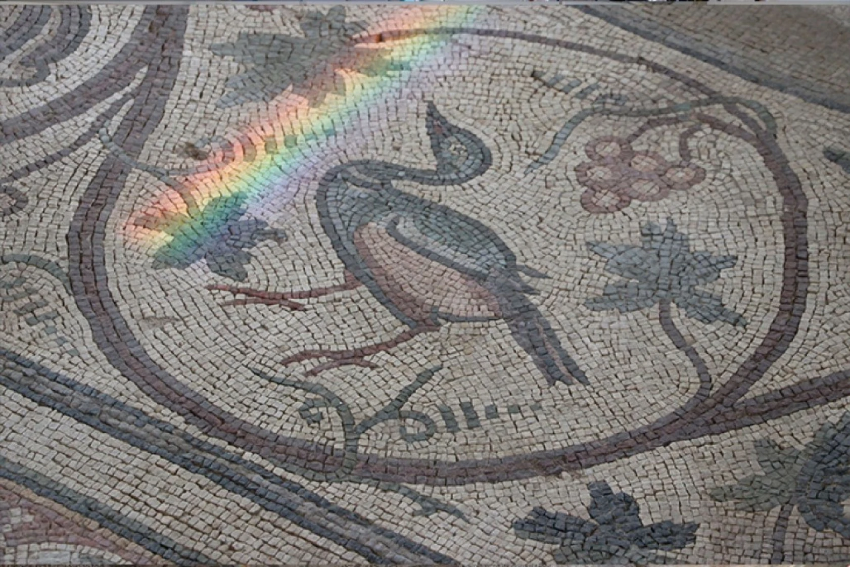 Kahramanmaraş Germanicia Antik Kenti