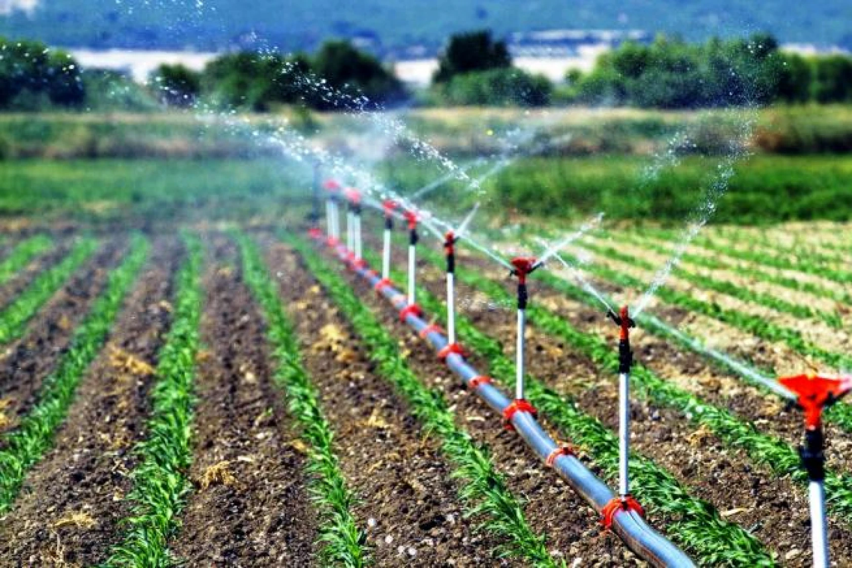 İkinci 100 günlük eylem planında DSİ'den dev projeler!