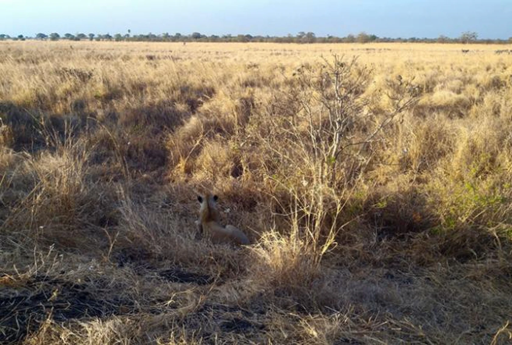 Tanzanya, Afrika'nın İncisi!
